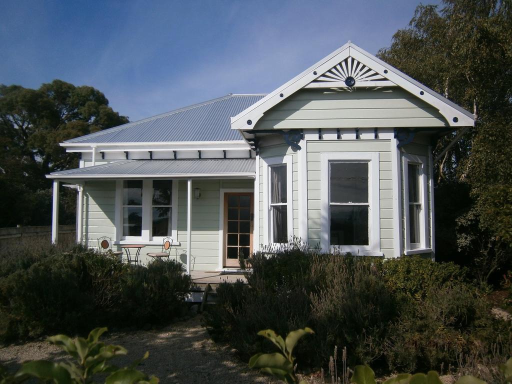 Lavender53 Villa Martinborough Bagian luar foto