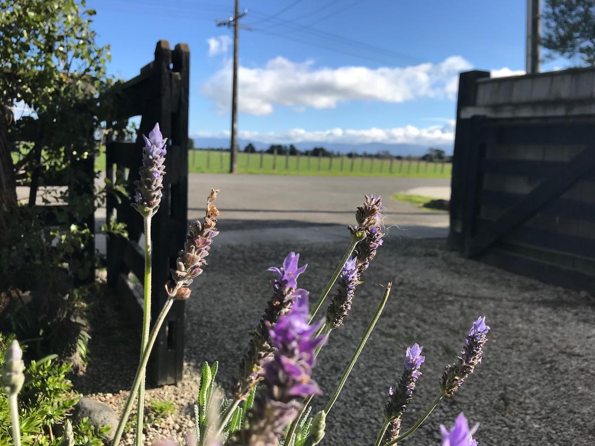 Lavender53 Villa Martinborough Bagian luar foto